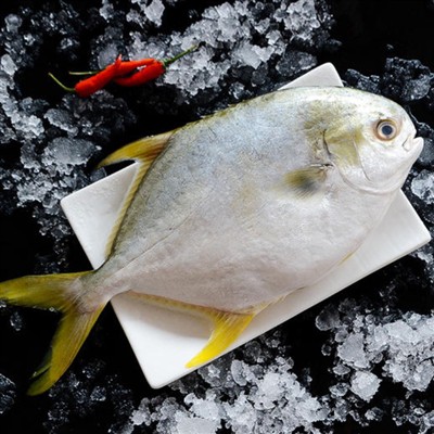 Koju vrstu pomfreta prepoznajete?