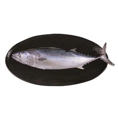 Smrznuti Euthynnus Affinis