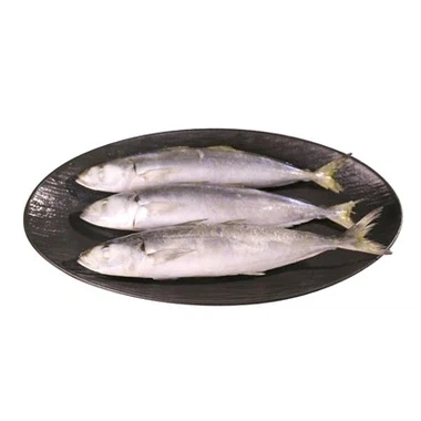 Smrznuta scaderel scad