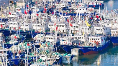 Reforma zakona o kineskoj ribarstvu ima za cilj postizanje veće održivosti