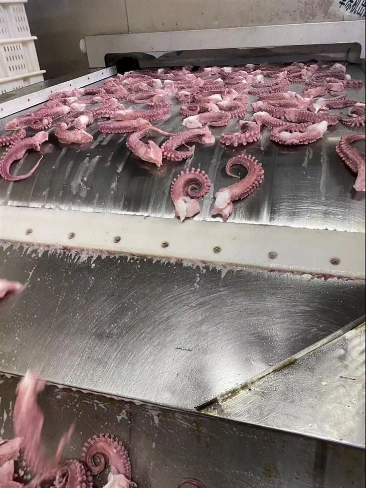 01bbb71bd4d6ccec069d80417a96c5be8b5a5ec6ea(1)