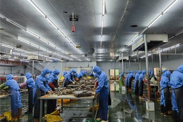 91240c74f19a4b0c860d60b9dc6eefb 91240c74f19a4b0c860d60b9dc6eefb