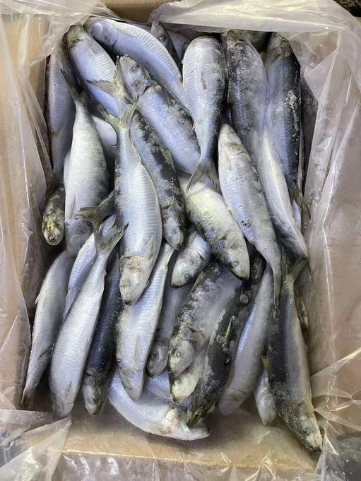 d256f17b53797cd2fb2d5b5924c9533 d256f17b53797cd2fb2d5b5924c9533