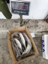 product-163-217 product-163-217